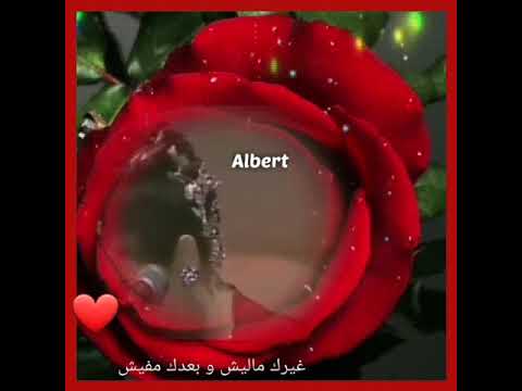 انا غيرك ماليش و بعدك ما فيش دندنه وردة الجزائرية