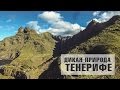 ОТДЫХ НА ТЕНЕРИФЕ | Дикая природа национального парка Анага | КАНАРСКИЕ ОСТРОВА