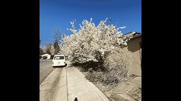 track 2 - "dear diary,"