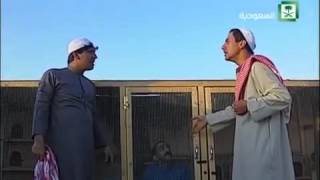 طاش ماطاش لقطة تطيير الحمام هههههههه