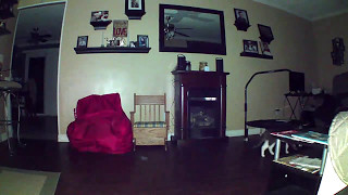 cat chased by orb