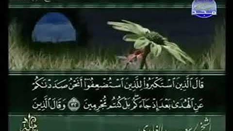 سورة سبأ  من الآية 32 الى الآية 54