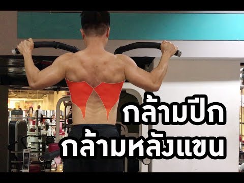 Latis and tricep (เล่นกล้ามปีก และกล้ามหลังแขน)