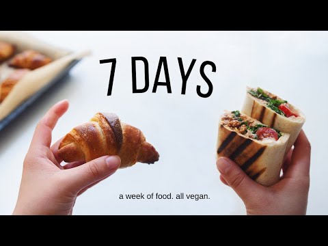 Everything I Ate this Week tasty, realistic vegan meals