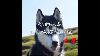 201412 你的认知在影响你的生理32377