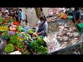 Walkaround Ta Khmao Thmei Food Market, Cambodian Traditional Food Market Morning Scenes