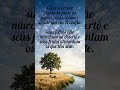 ​Salmo da Imensidão e do Refúgio #fe #deustemumapalavrapravoce #amor