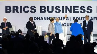 Au Sommet des BRICS, l'accent est mis sur la création d'une devise commune