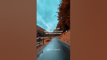 القارئ عبدالرحمن مسعد || أجمل حالات واتساب دينية