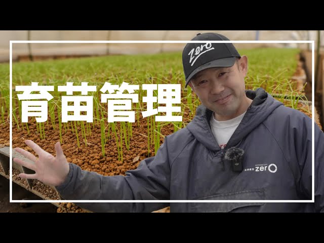 Just remember this] How to successfully raise leek seedlings! We