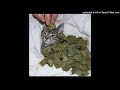 (FREE) five finger posse + working on dying + boolymon + goth money + perc40 +tread type beat