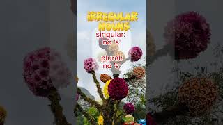 Irregular Nouns | Plural forms with no 's' #englishgrammar #englishlessons #elementaryenglish