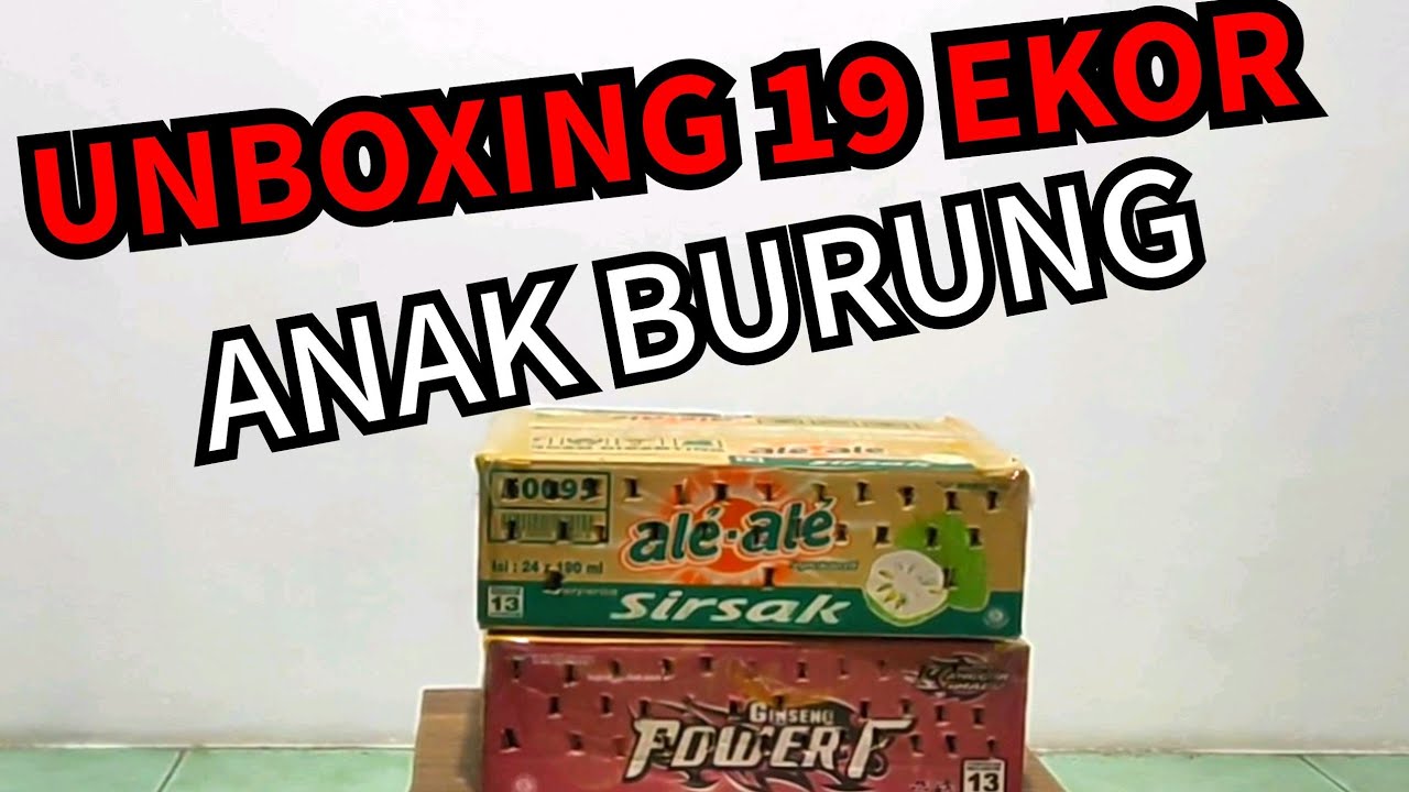UNBOXING BELASAN ANAK BURUNG KICAU 