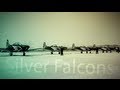 Silver falcons team leader maj roy sproul  south african air force