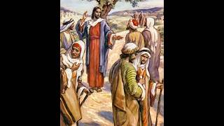Twelfth Sunday In Ordinary Time