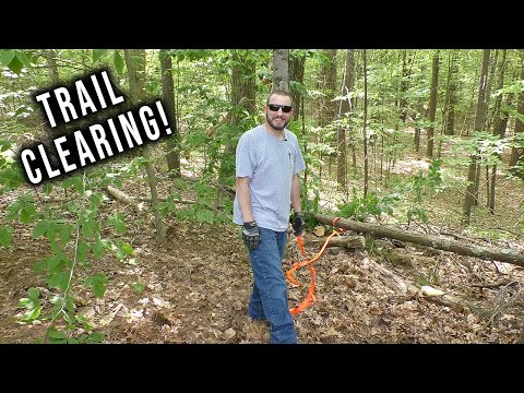Welcome to My Woods! 😁
