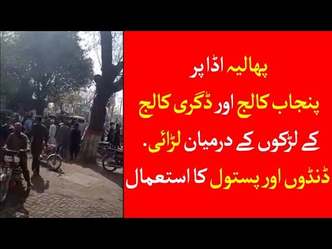 College Students fight in Phalia