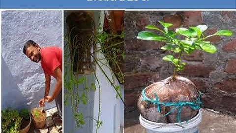 Orientation Programme - First Years - B.C.A. Dept