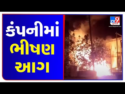 Vadodara: Massive fire broke out at Manjusar GIDC, no casualties reported | TV9News