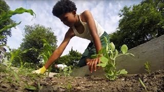 Black Nouveau | Program | #2708 - We Got This!