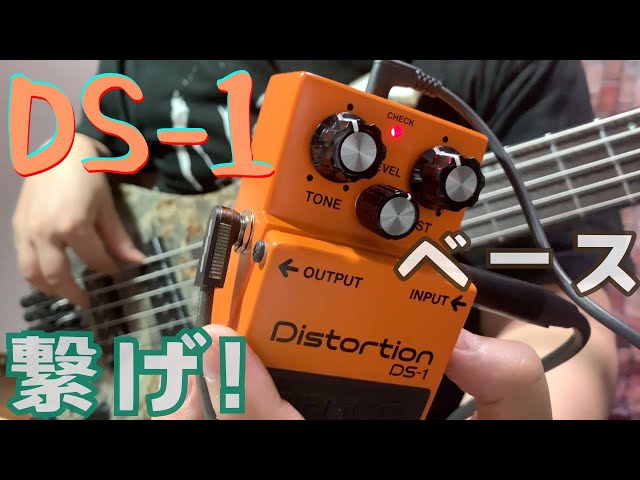 Boss Distortion DS 1をベースに繋ぐといい音するぞ！！ - YouTube