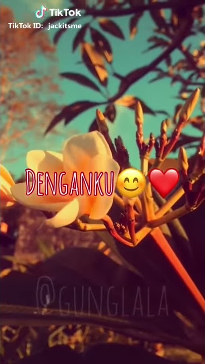 Kau lelaki terbaikku