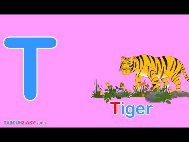 What Words Start with the Letter T? *Words For Toddlers*