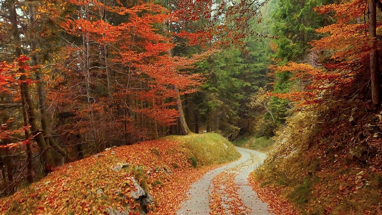 Rifugio Laeng e foliage
