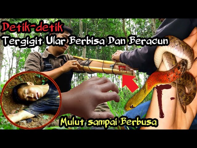 Mukus anusdan chiqadi