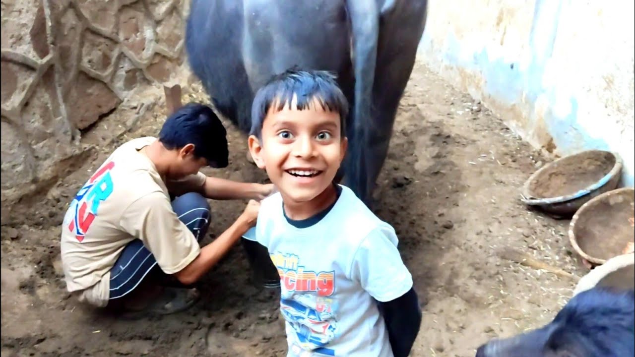 Aaj Bhains Ka Dudh Nikalte Hue Paseene Aa Gaye 😅