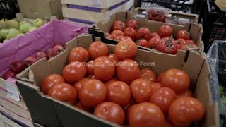 why tomato prices are soaring in India..