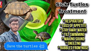 Turtles Respiratory Infection  Sick Turtles Treatment