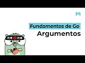 Fundamentos de Go: Paso de parámetros a funciones