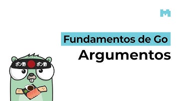 Fundamentos de Go: Paso de parámetros a funciones