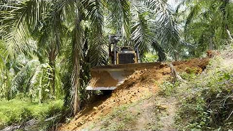 Splitting Dangerous Hills with Precision – CAT D6R XL Bulldozer Operator Skills