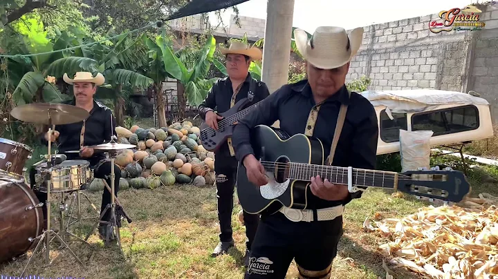Corrido de Gaudencio Organista