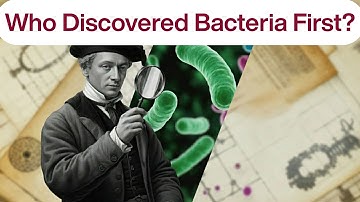 Who Discovered Bacteria First?