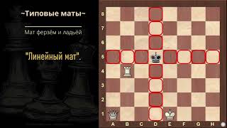 &quot;Мат ферзём и ладьёй&quot;. (отрывок из курса для начинающих  - &quot;Шахматы. Базовые знания&quot;).
