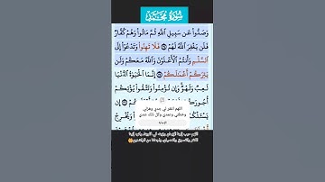 سورة محمد الايه 34-35 فارس عباد