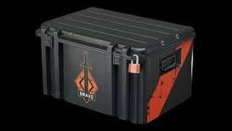 csgo bravo case drop
