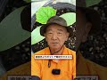 【キュウリ栽培】株が弱っても大丈夫!終盤のお世話と二期作のコツ【シェア畑】【農園ライフ】 #shorts
