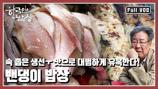 [한국인의밥상★풀버전] 이 땅의 아버지들은 밴댕이를 닮았다! 밴댕이를 따라가며 아버지를 추억하는 시간 | “아버지와 밴댕이” (KBS 20130613 방송)