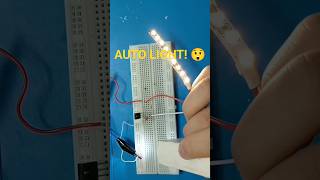 Turns ON Automatically in the Dark! 🌙
