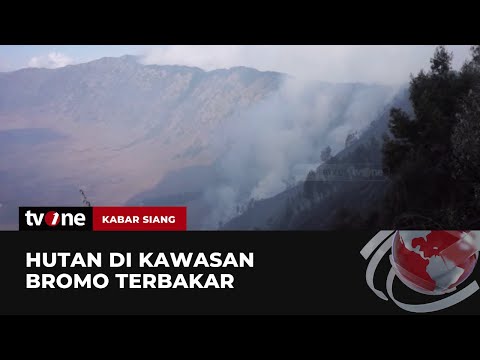 Hutan Bromo Terbakar, Angin Kencang Membuat Api Sulit Dipadamkan | Kabar Siang tvOne