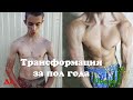 Трансформация тела эктоморфа за пол года. На это стоит посмотреть.