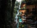 From Jungle to $50M Luxury Glass House 💎 #shorts