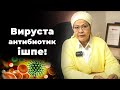 Тұмау кезінде вирустарды лезде өлтіретін үй жағдайында емдік рецептер | Өкпе тазалау