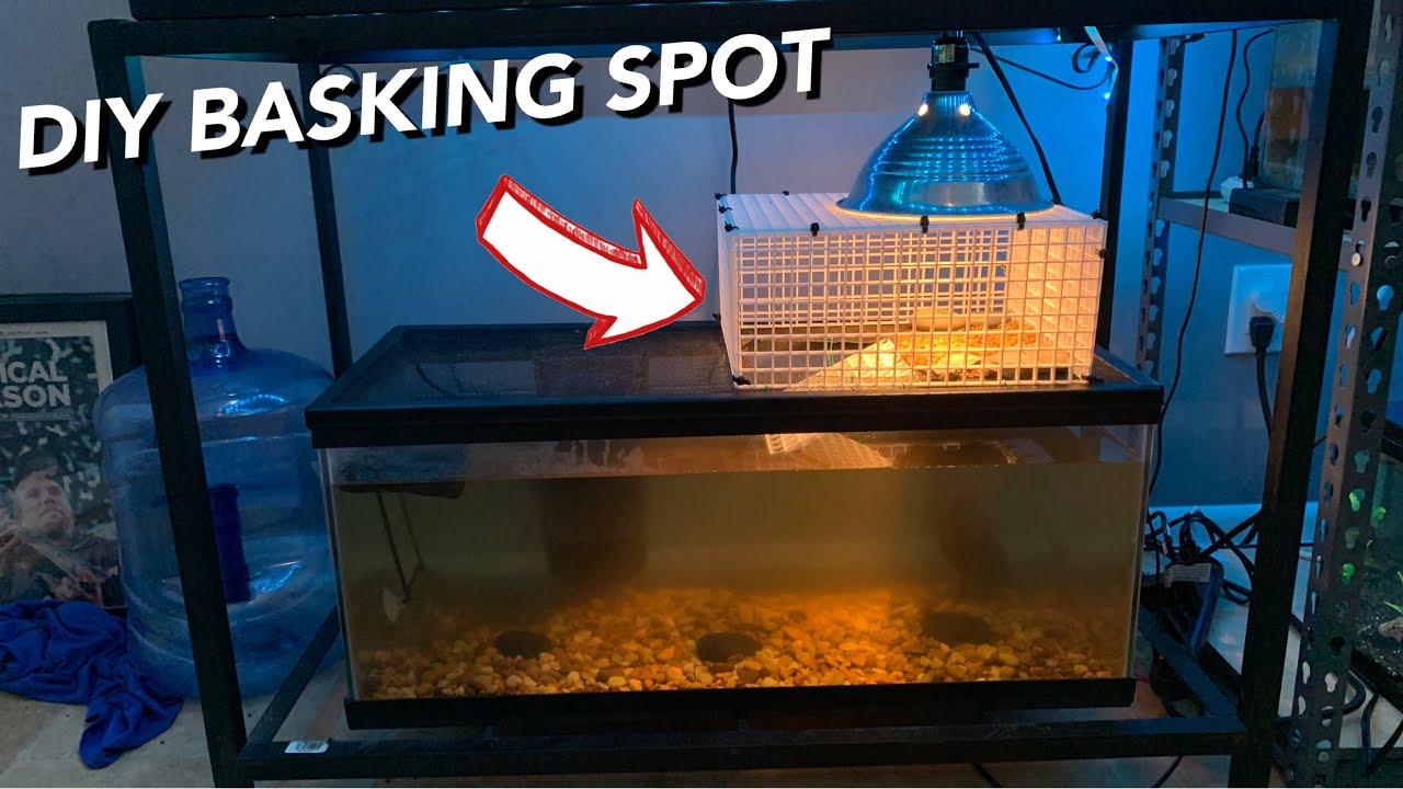 ADDING DIY BASKING SPOT TO TURTLE TANK YouTube