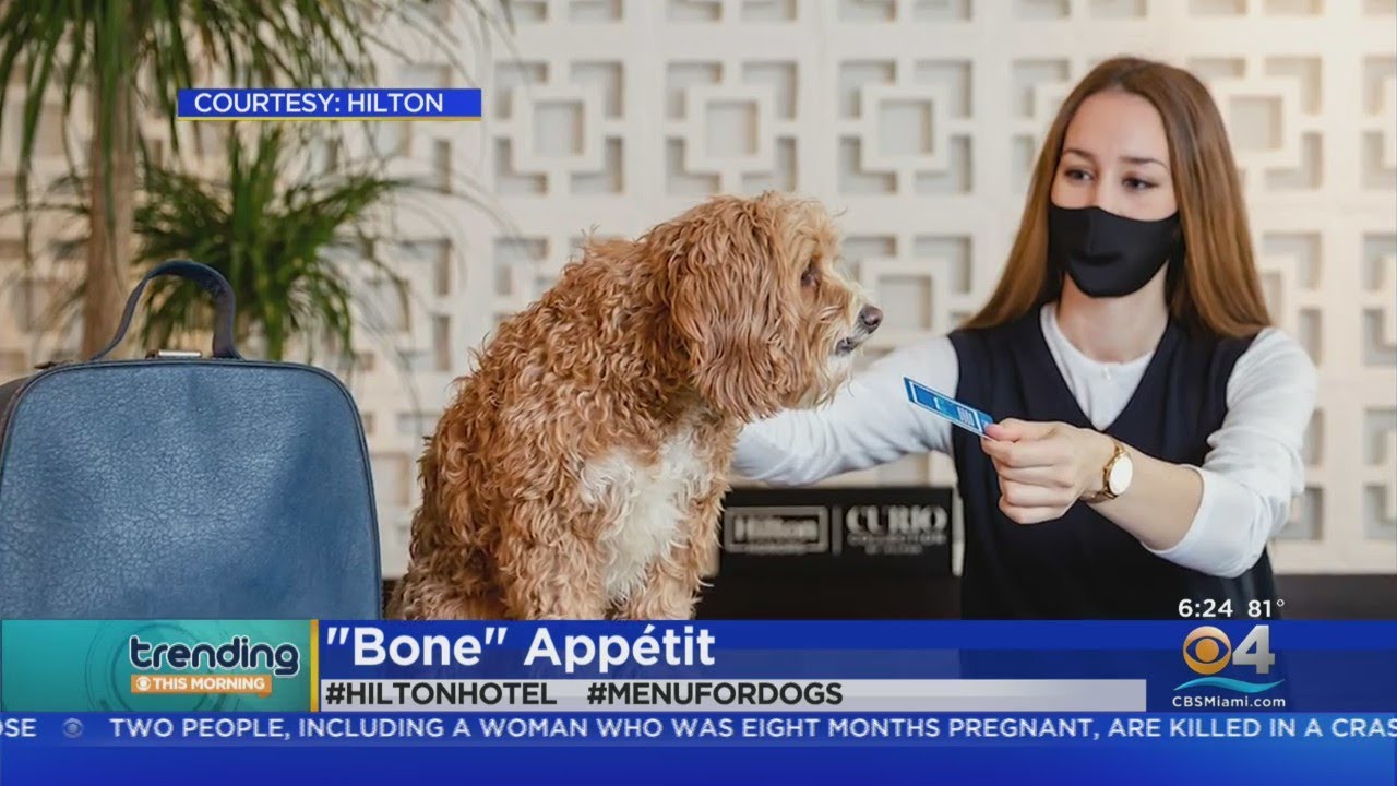 Trending: Hilton Hotel Dog Menu