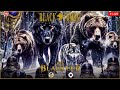 Black Combat BnD Black Cup: Omega Korea vs Eurasia Quarterfinals | LIVE STREAM | MMA Fight Companion